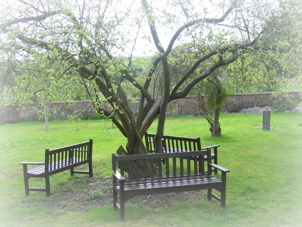 gardensarrangement_of_benches_061